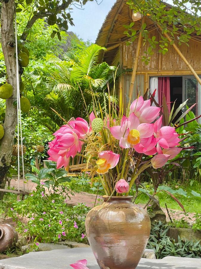 Trang An Lamia Bungalow 宁平 外观 照片